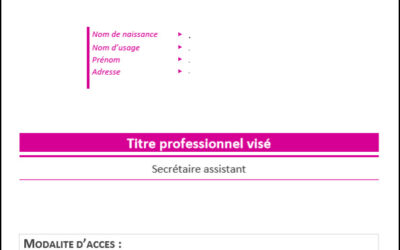 Le Dossier Professionnel (DP) : une étape clé vers le titre professionnel